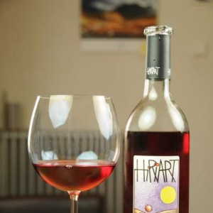 hiriartsobrelias2011