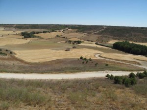 uruena9