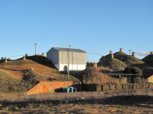 IMG_0916