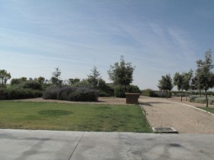 IMG_1743