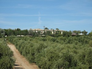 IMG_002