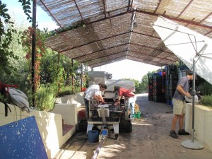 IMG_011
