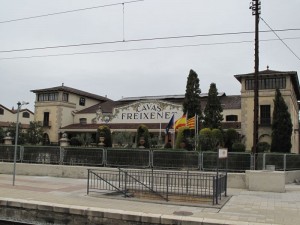 IMG_3131