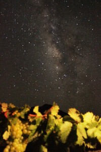 estrella