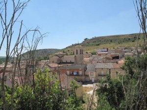 IMG_0202