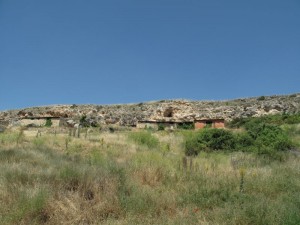 IMG_0205