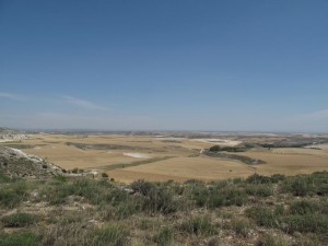 IMG_0210