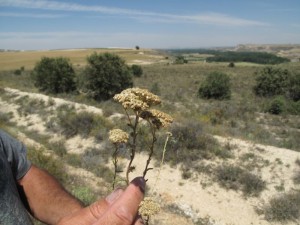 IMG_0221