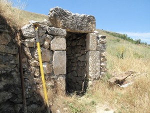 IMG_0238