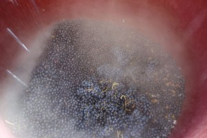 DSC08000
